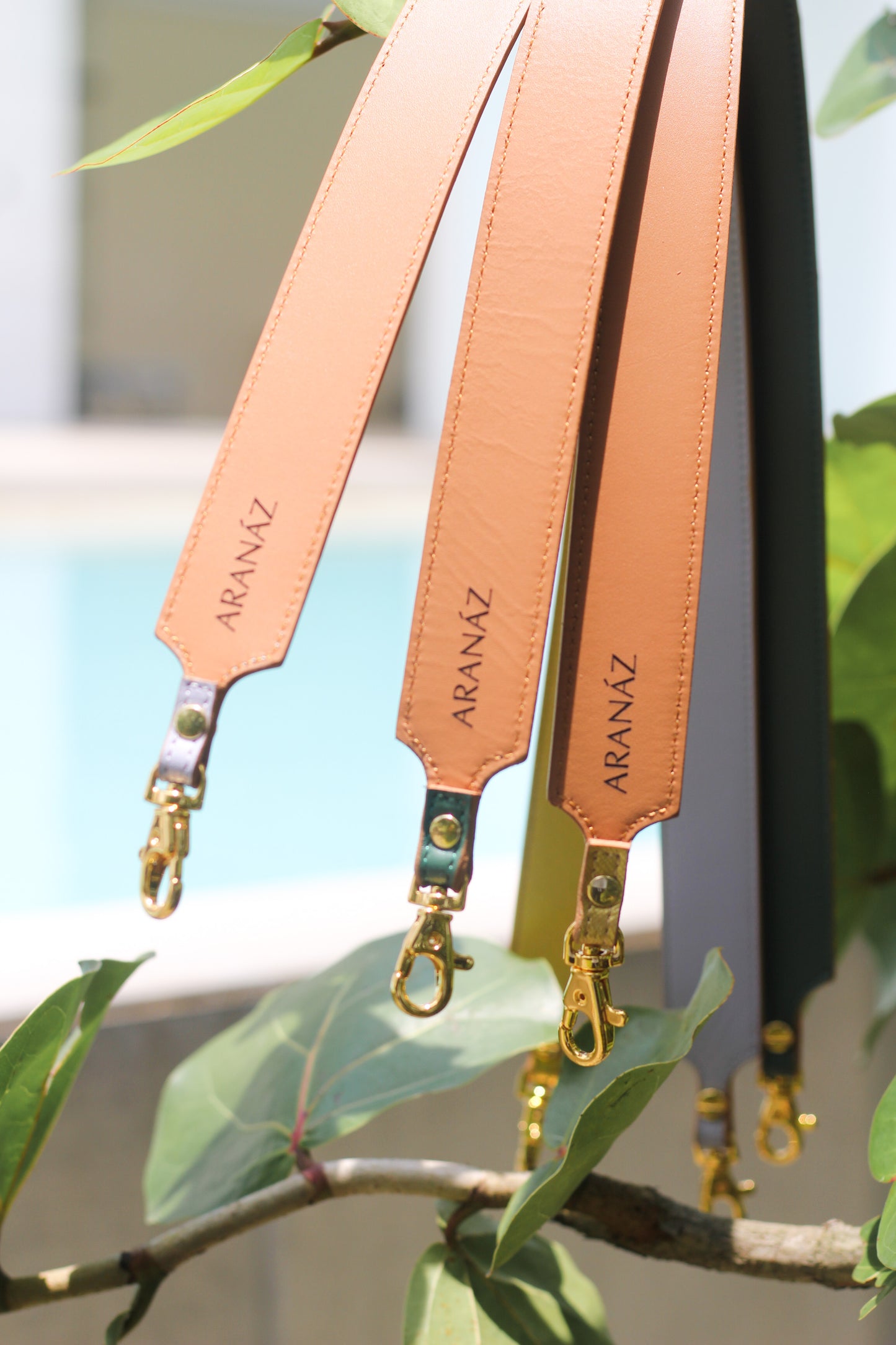 Pop Strap 1.25 (Tan/Black)