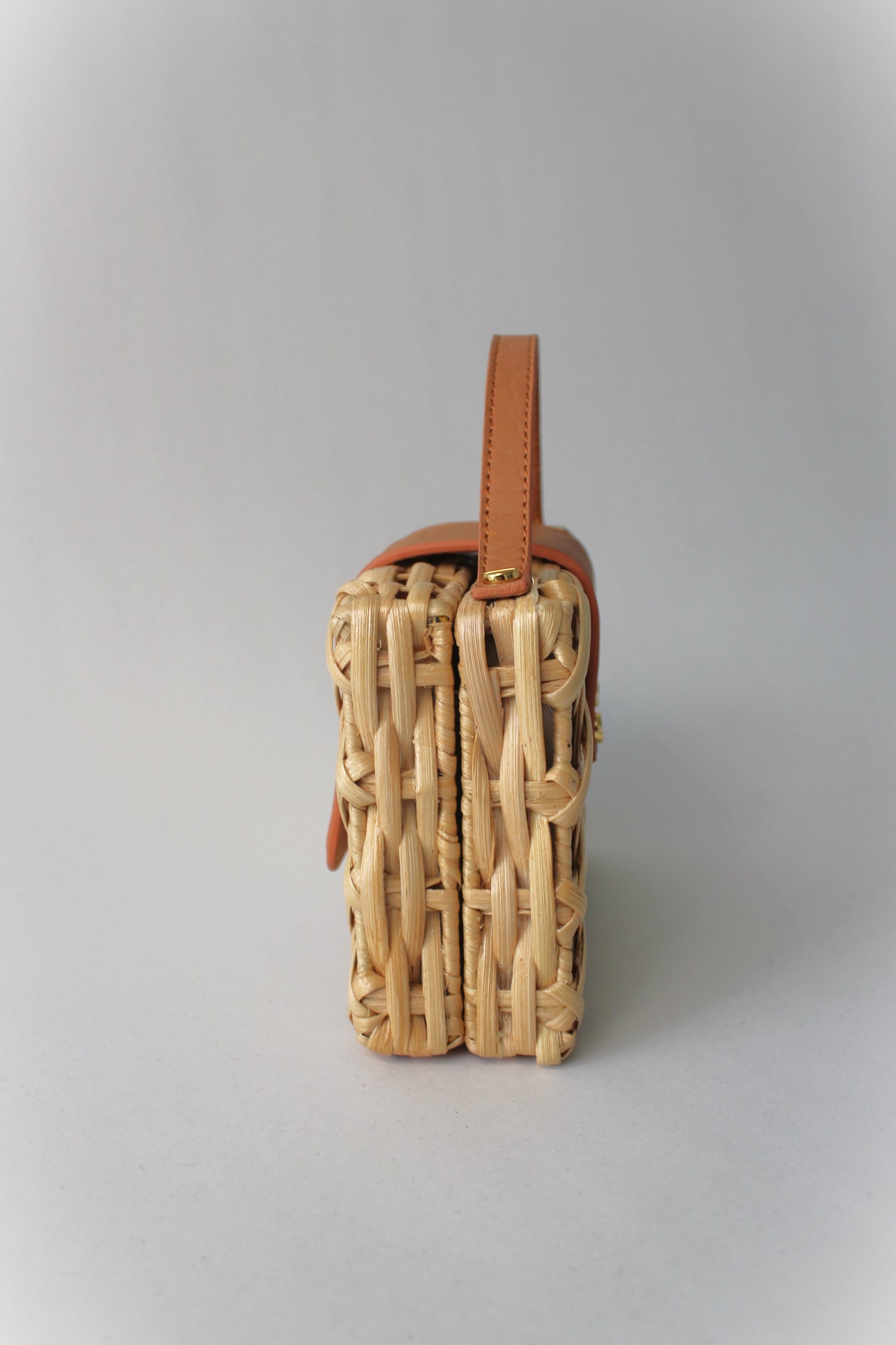 Charlie Slim Mini Handbag with Tan Croco Leather