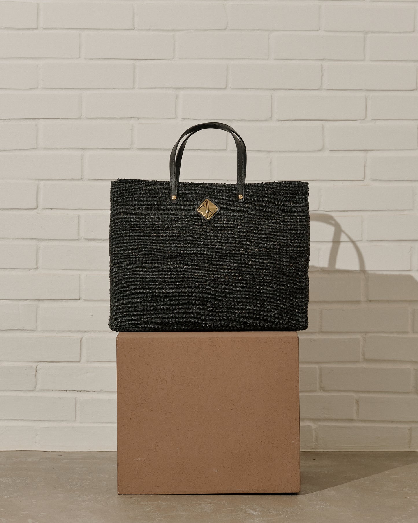 Celine Tote Black